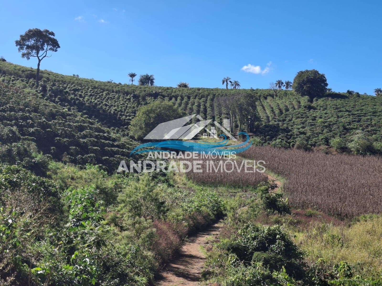 Fazenda/Sítios/Chácaras em Botelhos - Centro