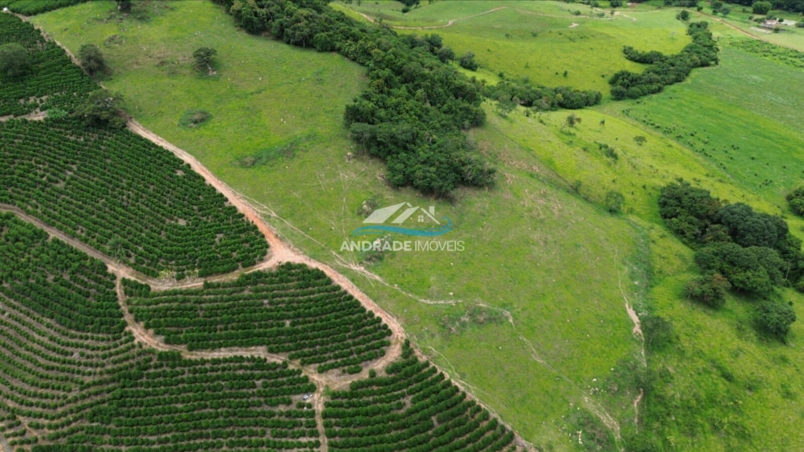 Sítio na Barrânia - Caconde SP