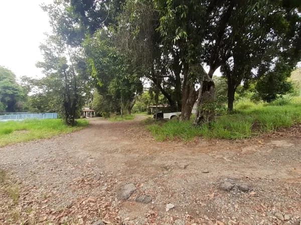 Terreno à venda, 47000 m² por R$ 20.000.000 - Cruzeiro de Santo Antônio - Juiz de Fora/MG