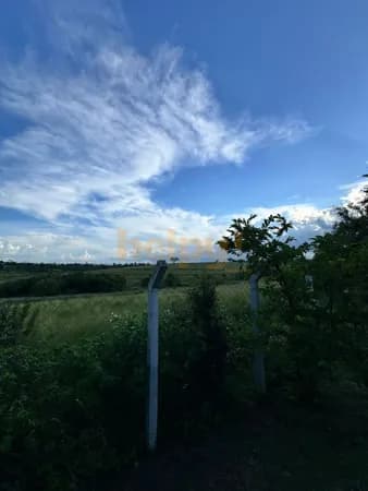 Fazenda/Sítios/Chácaras em São José do Rio Preto - Centro (Engenheiro Schmitt)