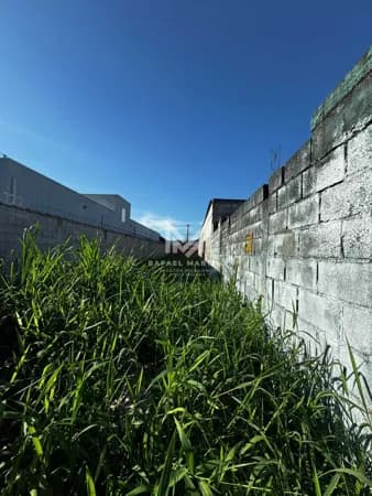 🏡 Oportunidade no Jardim Tarumãs – Lado Praia