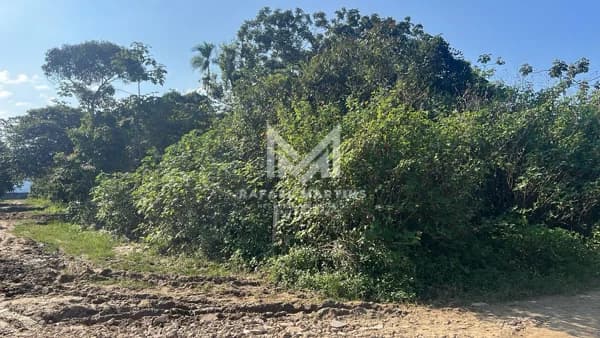 🏡 Terreno à Venda – Bairro Golfinho