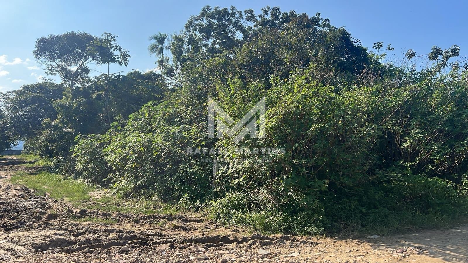 🏡 Terreno à Venda – Bairro Golfinho