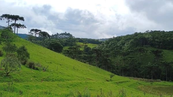 Lote/Terreno em Rancho Queimado - Taquaras