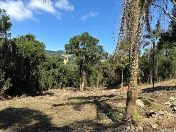 Lote/Terreno em Alfredo Wagner - BR 282 Km 96