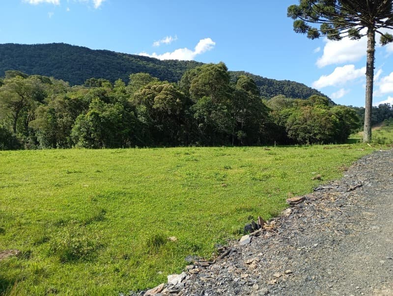 Lote/Terreno em Rancho Queimado - Mato Francês