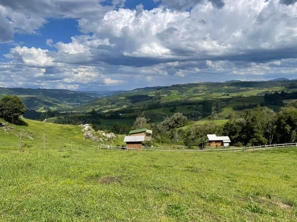 Fazenda/Sítios/Chácaras em Alfredo Wagner - Alto Limeira