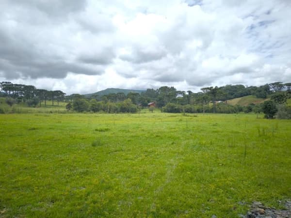 Fazenda/Sítios/Chácaras em Rancho Queimado - Mato Francês