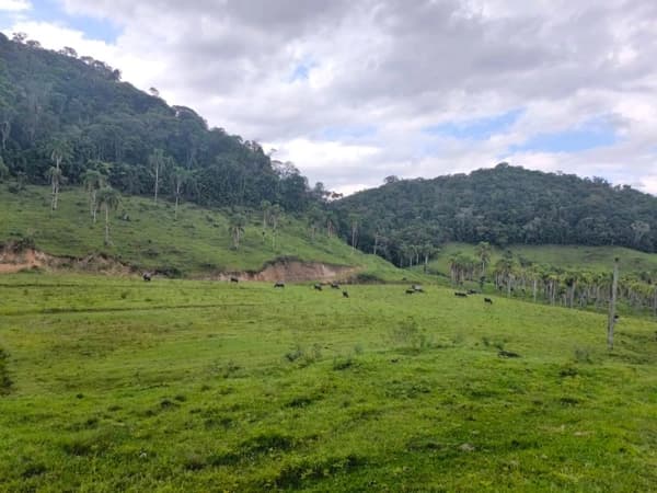 Lote/Terreno em Angelina - Rancho de Tábuas