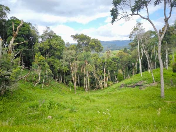 Lote/Terreno em Rancho Queimado - Invernadinha