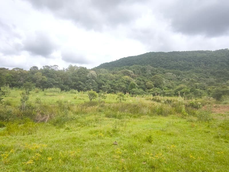 Lote/Terreno em Rancho Queimado - Mato Francês