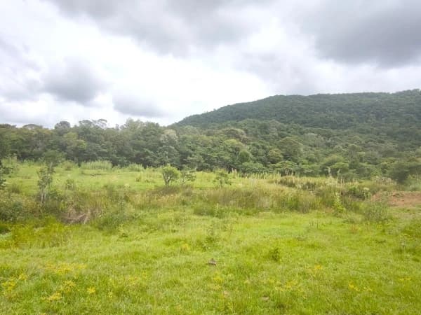 Lote/Terreno em Rancho Queimado - Mato Francês