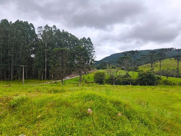 Lote/Terreno em Rancho Queimado - Mato Francês