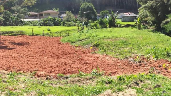 Lote/Terreno em Angelina - Centro