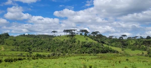 Lote/Terreno em Rancho Queimado - Mato Francês