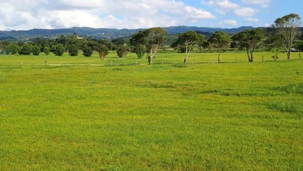 Lote/Terreno em Rancho Queimado - Invernadinha