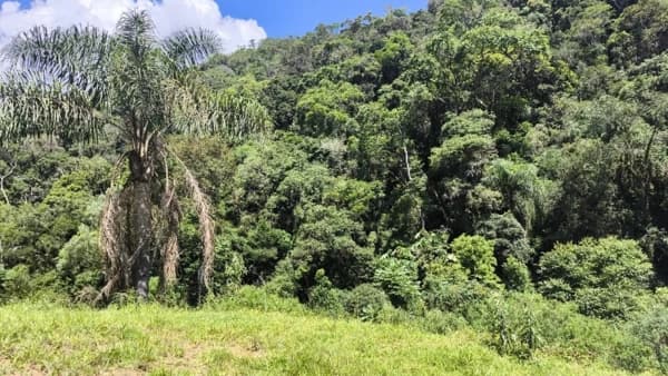 Lote/Terreno em Angelina - Rancho de Tábuas