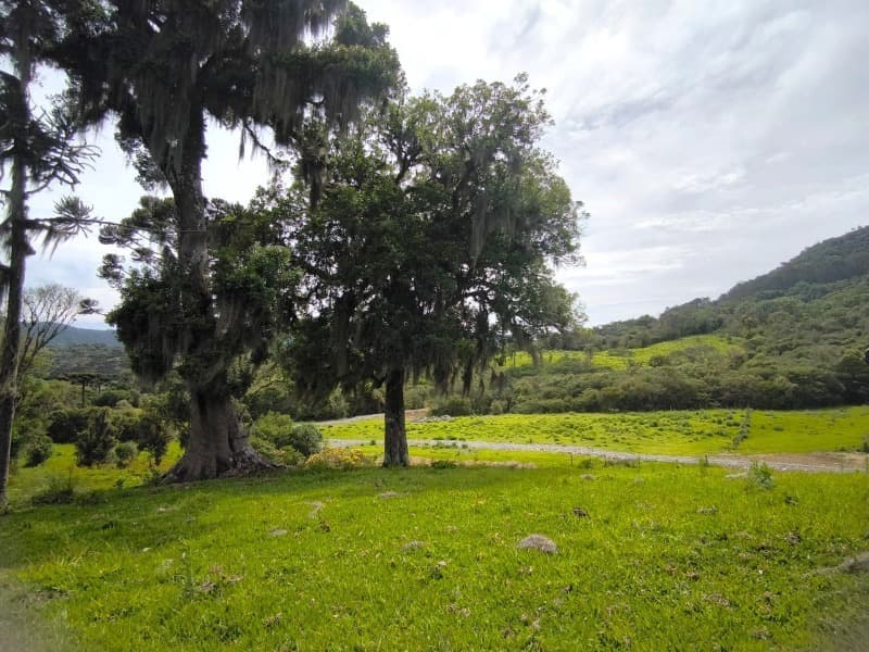 Lote/Terreno em Rancho Queimado - Mato Francês