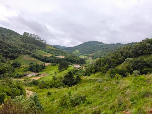 Lote/Terreno em Angelina - Palheiros