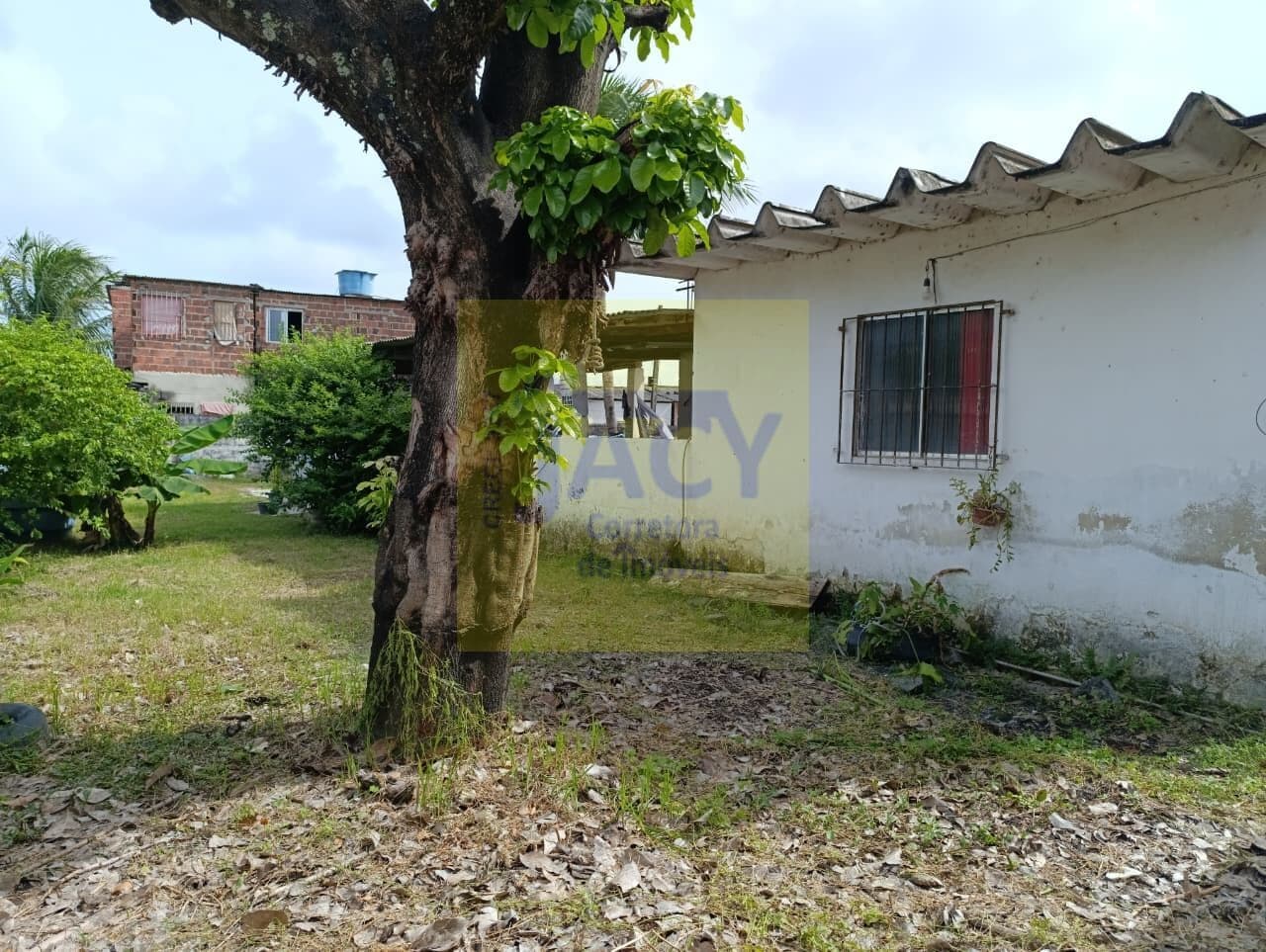 Casa em Piedade 1Qts, 1St, 1Closet, Árvores Frutíferas, Nascente