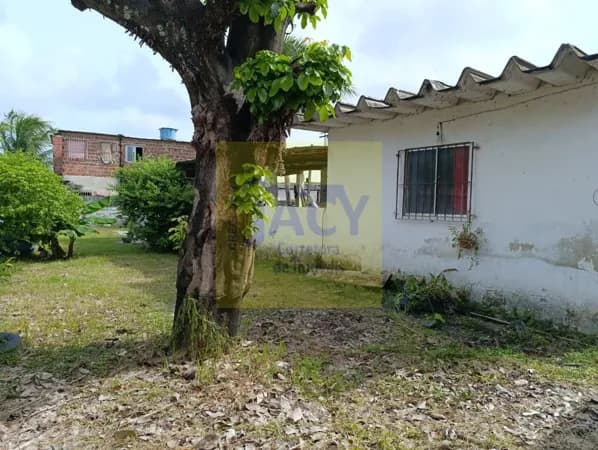 Casa em Piedade 1Qts, 1St, 1Closet, Árvores Frutíferas, Nascente