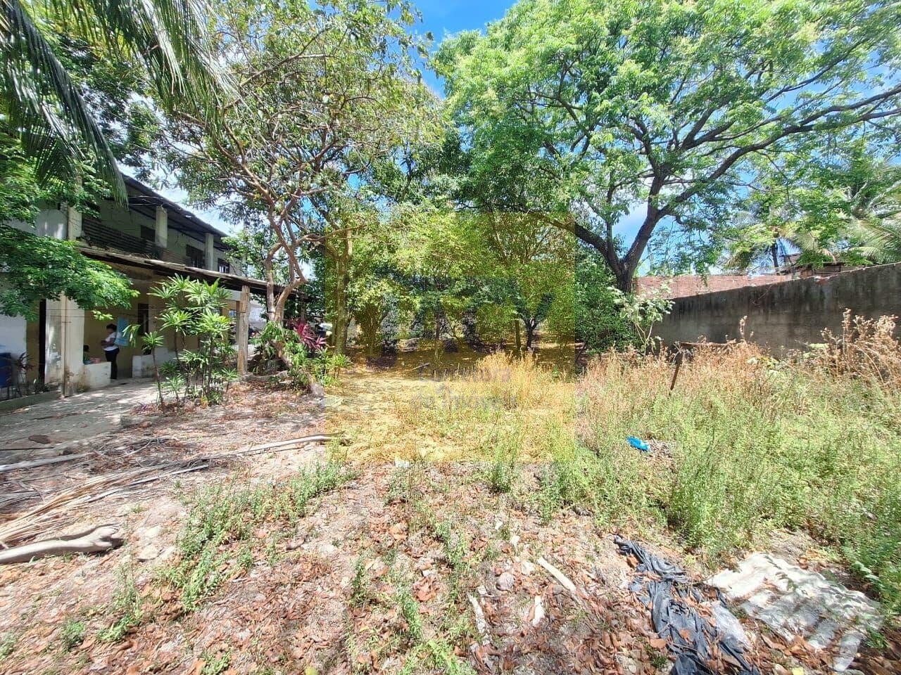 Sítio em Ouro Preto Olinda, com 2 casas 6qtos, fruteiras ,vgs para vários carros