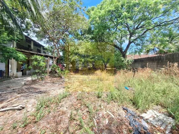 Sítio em Ouro Preto Olinda, com 2 casas 6qtos, fruteiras ,vgs para vários carros