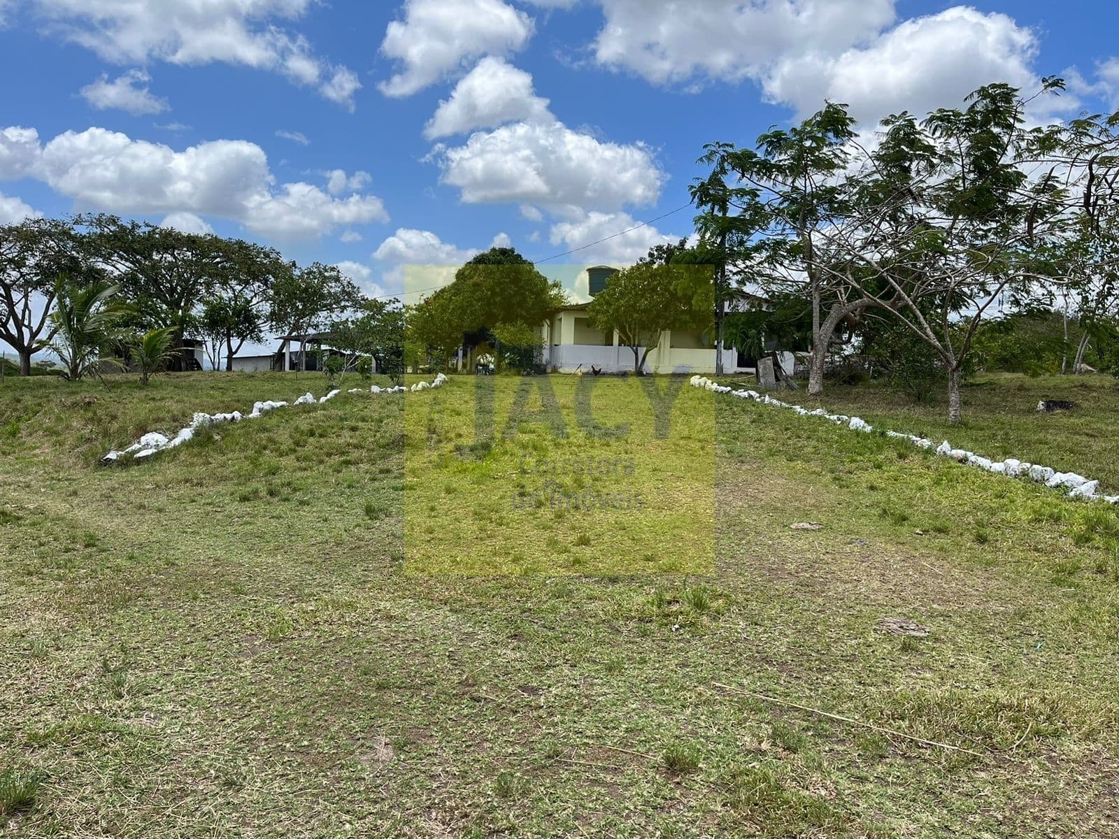 Fazenda Com 2 casas curral, açudes, poço, 7.500hc as margens da bar. tapacurá