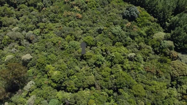 Área Rural para Venda em Centro Bocaiúva do Sul-PR