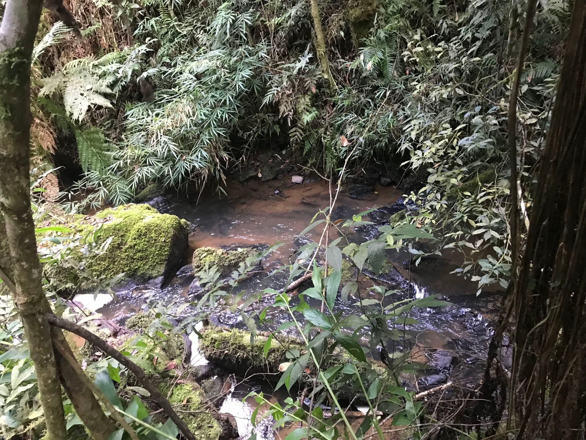 Chácara em Centro, Bocaiúva do Sul/PR