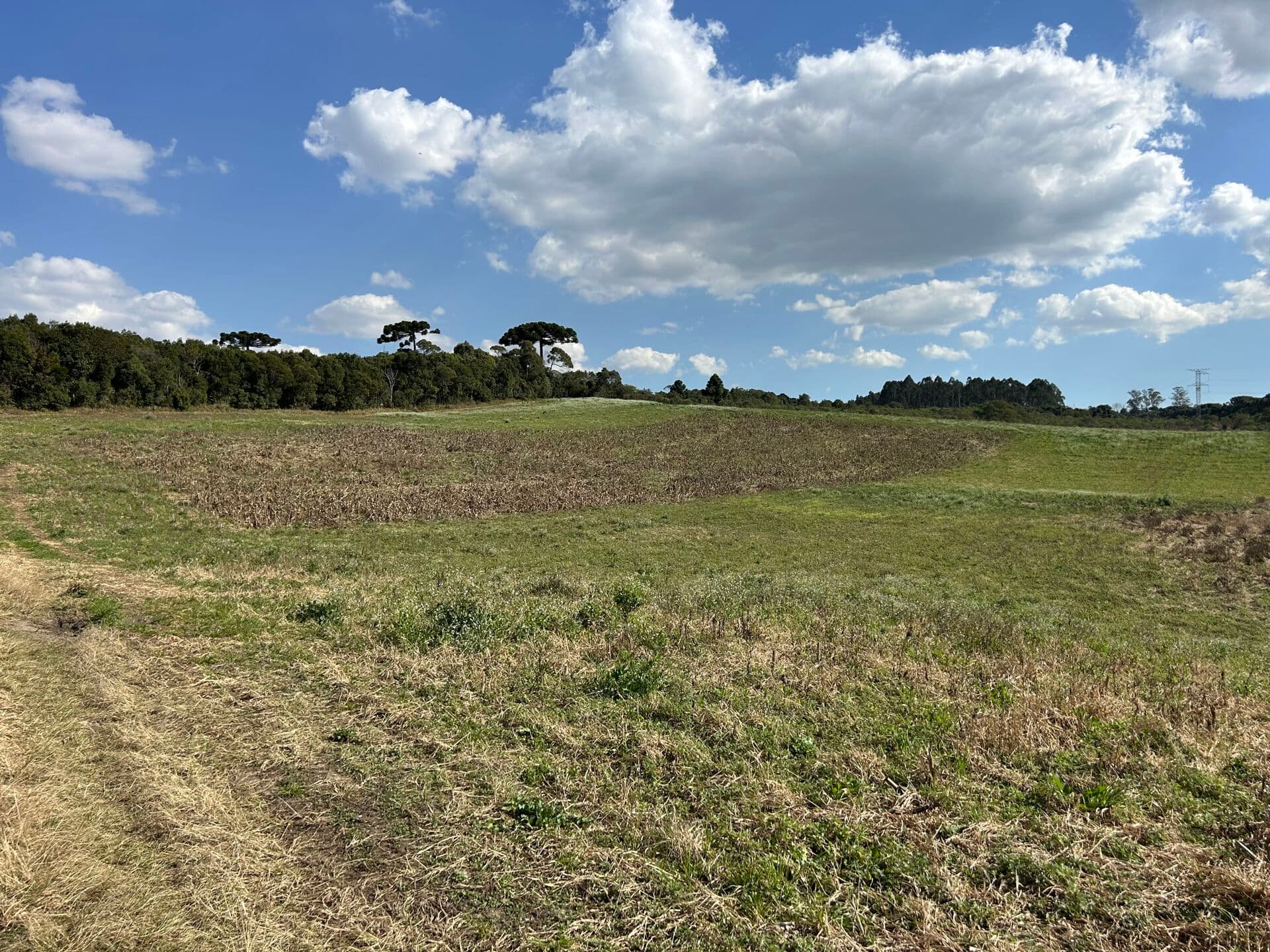 Área Rural Colombo/PR