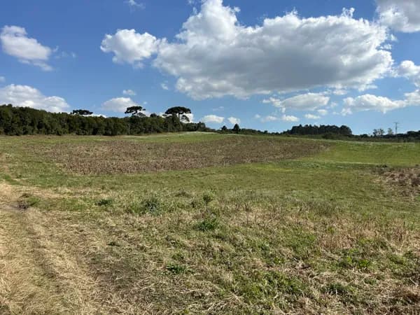 Área Rural Colombo/PR