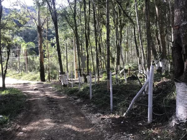 Chácara para Venda em Centro Bocaiúva do Sul-PR
