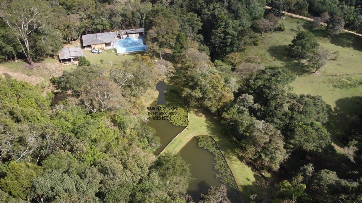 Sítio para Venda RIO BRANCO DO SUL