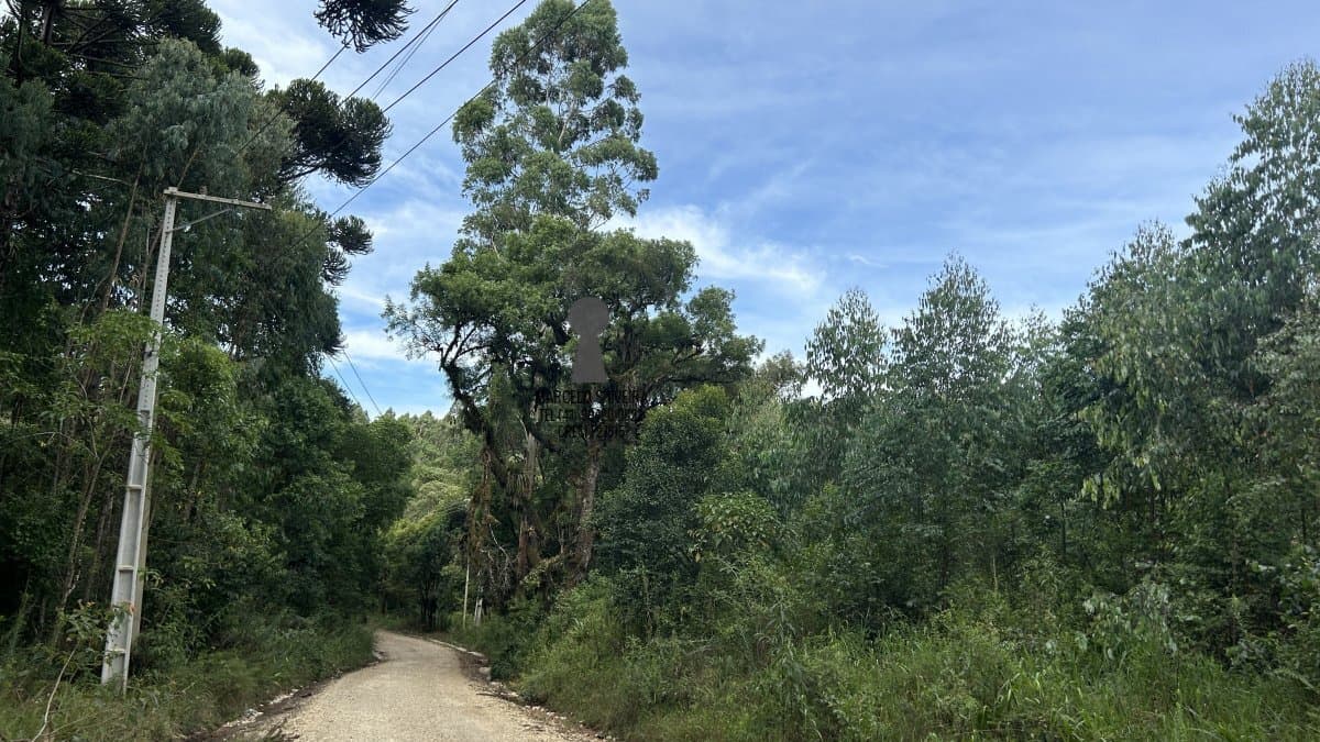 Chácara para Venda em Centro Bocaiúva do Sul-PR