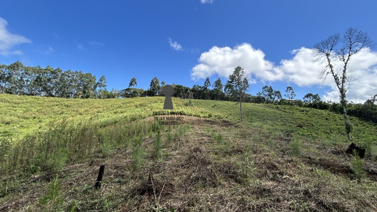 Área Residencial/Comercial para Venda em Centro Bocaiúva do Sul-PR
