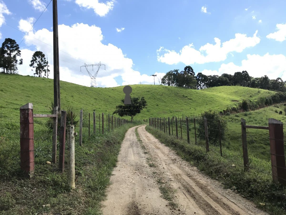 Fazenda Pecuária para Venda em Centro Bocaiúva do Sul-PR