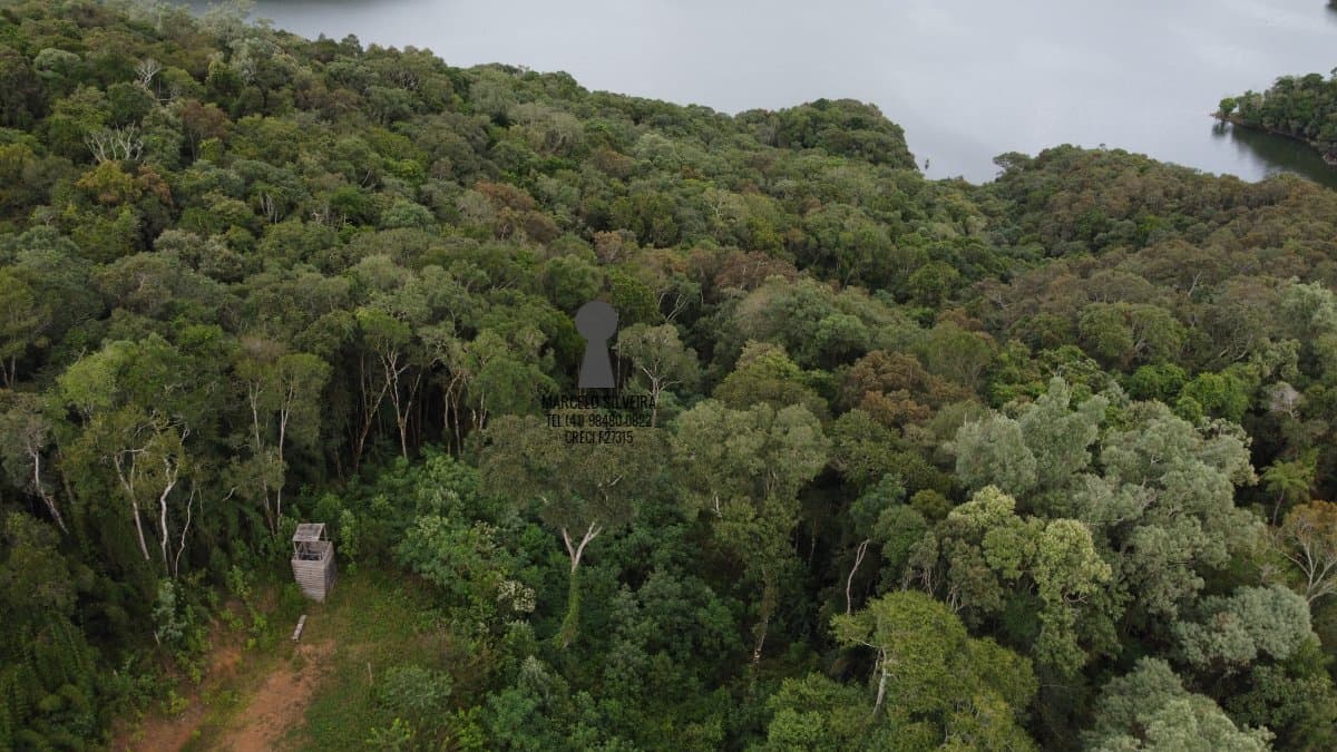 Chácara para Venda em Centro Bocaiúva do Sul-PR
