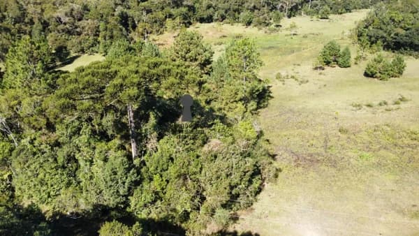 Chácara para Venda em Centro Bocaiúva do Sul-PR