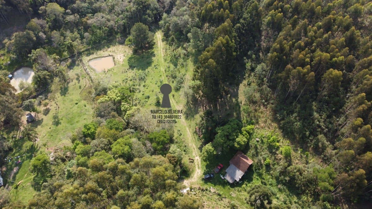 Sítio para Venda em Centro Bocaiúva do Sul-PR