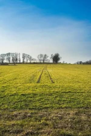 Lote/Terreno em Americana - Jardim Ipiranga