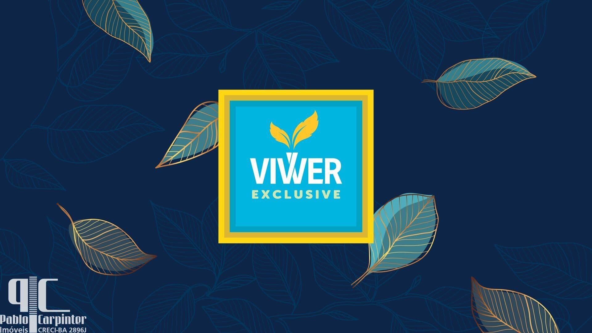 VIVVER EXCLUSIVE - SUSSUARANA