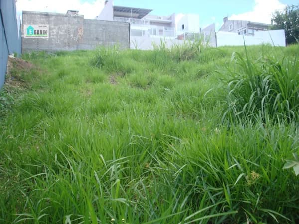 Terreno Lote para Venda em Cristo Rei São Leopoldo-RS