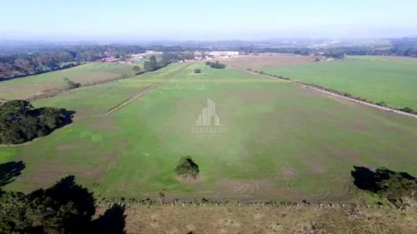 Áreas Industriais à venda – de 20.000 m² a 40.500 m² – Campo Largo da Roseira - São José dos Pinhais/PR