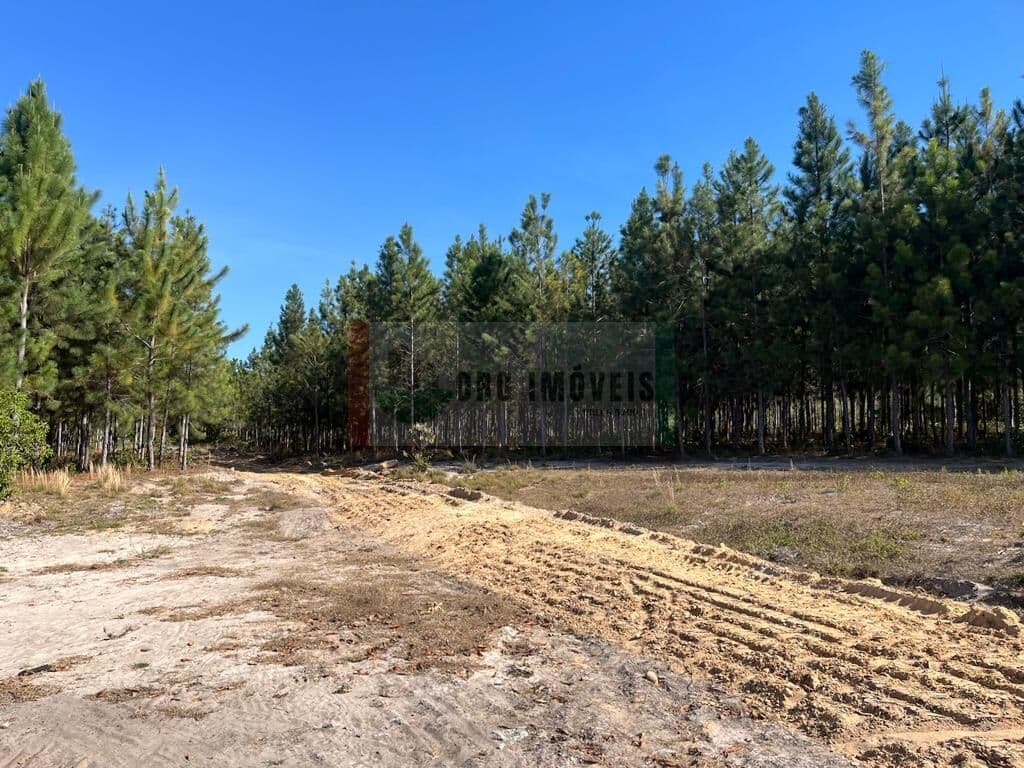 Fazenda/Sítios/Chácaras em Vilhena - Área Rural de Vilhena