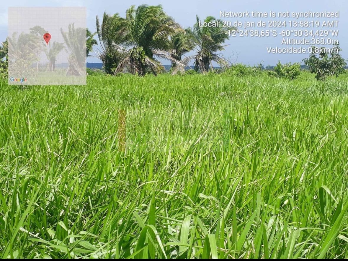 Sítio 60 km da cidade
