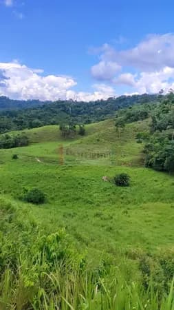 Fazenda/Sítios/Chácaras em Vilhena - Área Rural de Vilhena