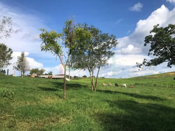 Fazenda/Sítios/Chácaras em Vilhena - Área Rural de Vilhena