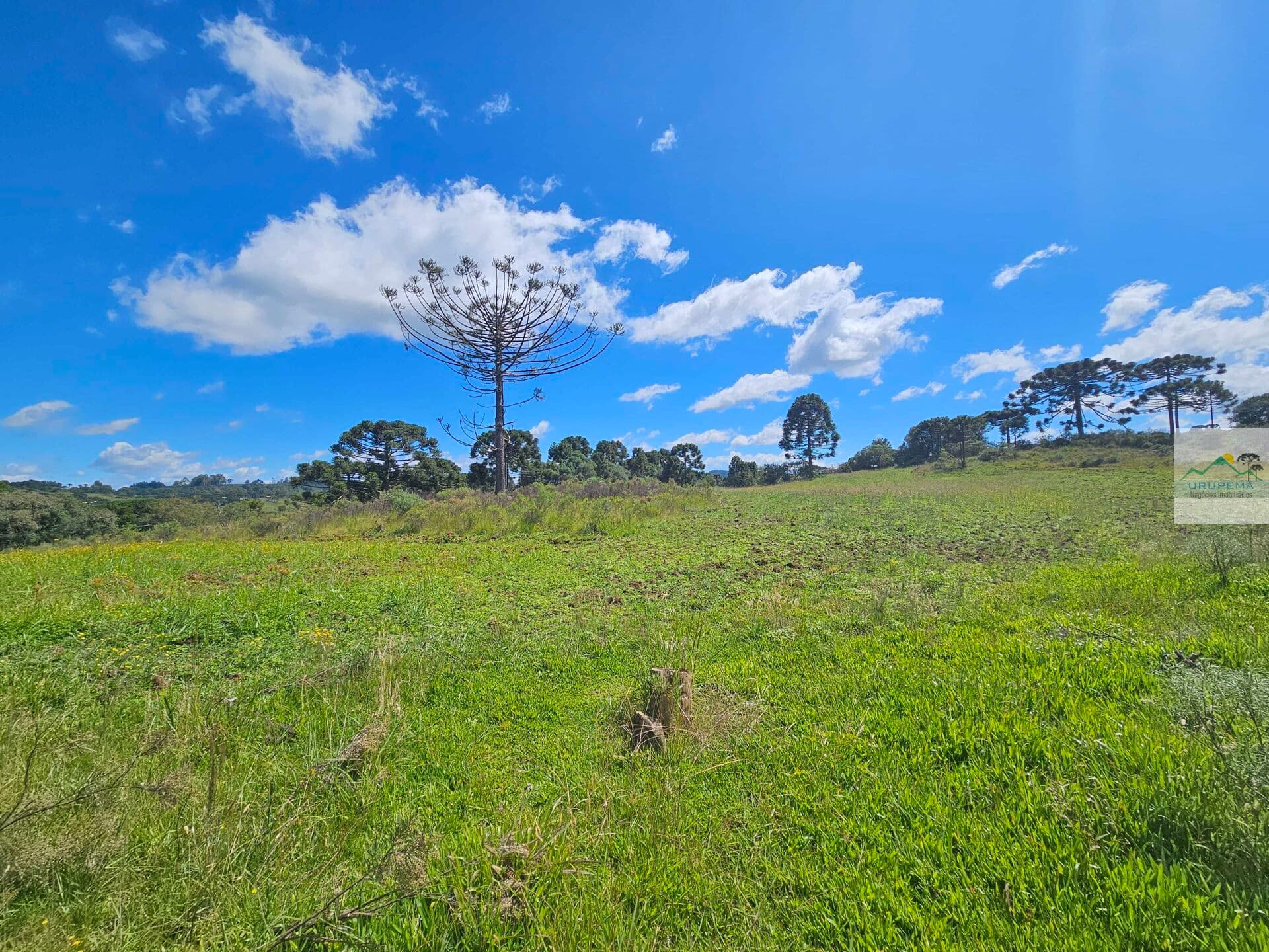 Terreno em Cedrinho, Urupema/SC