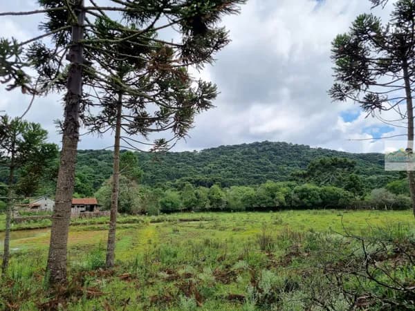Terreno Rural com ótimo custo/benefício
